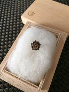 かすう工房 桜モチーフピアスのサムネイル