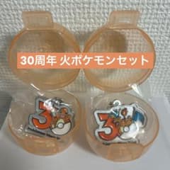 [신품·익명 배송] 포켓몬 30주년 메탈 매력 마스코트 2종 세트