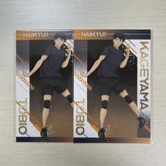 ハイキュー!! アニメイト ユース・疑似ユース合宿フェア 特典 影山飛雄