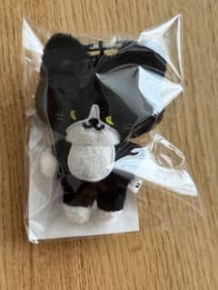 SS10 イェソン ぬいぐるみ キーホルダー 新品未開封 - メルカリ