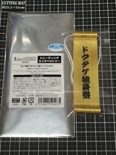 劇団 忍たま乱太郎 長屋物語 ミニタペストリー ドクタケ独身寮