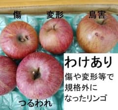わけありリンゴ箱込5kg【特別栽培・JGAP認証】のサムネイル
