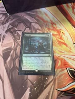 MTG 異界の進化 foil 日本語版 - メルカリ