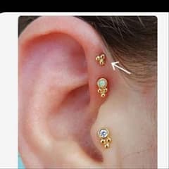 【３】ANATOMETAL / アナトメタル / トライビーズエンドのサムネイル