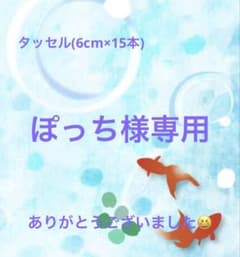ぽっち様 専用出品(追加あり)のサムネイル