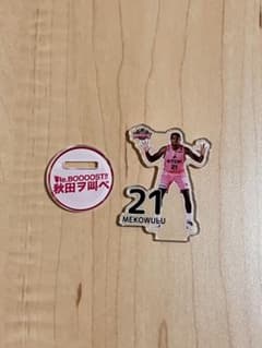 秋田ノーザンハピネッツ MEKOWULU選手 グッズのサムネイル