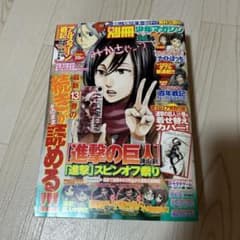 2014年 5月号 進撃の巨人 別冊少年マガジン 諫山創 着せ替えカバー 2014年 5月号 進撃の巨人 別冊少年マガジン 諫山創 着せ替えカバー