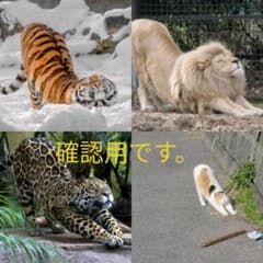 確認用です。のサムネイル