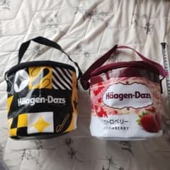 Haagen-Dazs 保冷バッグ 2個セット