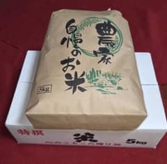 令和8年産 岩手県産 もち米 （こがねもち）約5キロ 精米（玄米可能