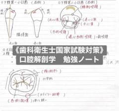 歯科衛生士 国試対策 まとめノート 勉強ノート - メルカリ