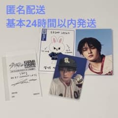 Stray Kids KARMA リノ HMVレシート付きのサムネイル