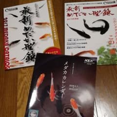最新メダカカタログ 2冊 + メダカカレンダー　まとめ売りのサムネイル