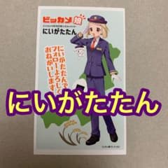 ビックカメラ　にいがたたん　名刺　新潟店　ビッカメ娘　新幹線