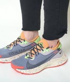 NIKE ペガサストレイル2 Gore-Texのサムネイル