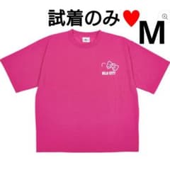 ハローキティ　USJ 半袖Tシャツ　ユニセックス Sサイズ　Mサイズ　総柄 m65635000402_1.jpg?1753918855