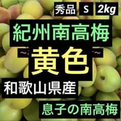 和歌山県産 紀州南高梅 秀品 S 箱込み約2kg以上のサムネイル