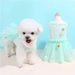 犬服　ワンピースのサムネイル