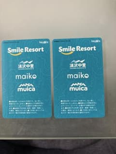 舞子スノーリゾート　スキー場利用券 2枚セットのサムネイル