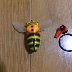 カバーシケーダー ベビーのサムネイル