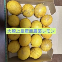 大崎上島産無農薬レモン⑩のサムネイル