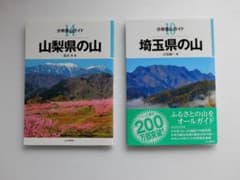 ★★　山と渓谷社 分県登山ガイド 美品　2冊セット（埼玉県　山梨県）★★のサムネイル