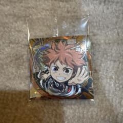 にふぉるめーしょん 劇場版ハイキュー!! ゴミ捨て場の決戦 日向翔陽のサムネイル
