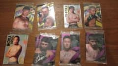 RIZIN　ウエハース　フェザー級