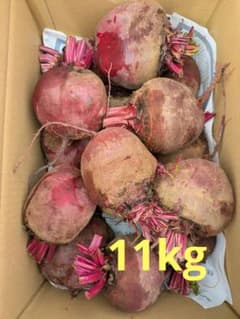 超特価【訳あり】　ビーツ　約11キロ　三浦半島　農家直送　農薬不使用(栽培期間)のサムネイル