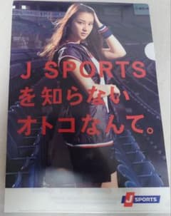 武井咲 J SPORTS クリアファイルのサムネイル