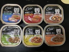 シーザー6種のサムネイル