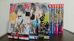 BLACK BIRD 全巻セットのサムネイル