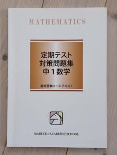 定期テスト対策問題集 中1数学のサムネイル