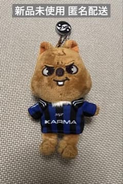 新品未使用】Stray Kids ハン KARMA SKZOO ハンクオッカ - メルカリ