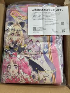 名探偵プリキュア キャラ寝る袋 キャンペーン当選品 - メルカリ