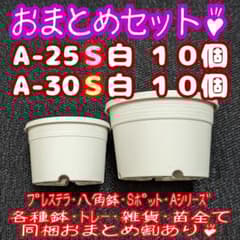 プラ鉢リエール必殺鉢20個【A-25S・30S各10個】プレステラ多肉植物
