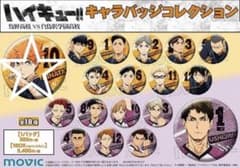 ハイキュー 日向翔陽 キャラバッジコレクション 缶バッジ - メルカリ