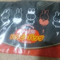 ミッフィー た～っぷり ハッピーバッグのサムネイル