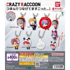 CRAZY RACCOON つまんでつなげてますこっと sellyのサムネイル