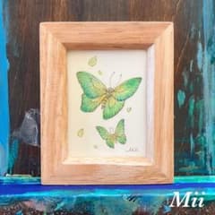 ミ*1様 手描きイラスト原画「蝶」 - メルカリ