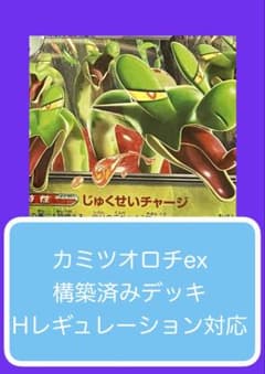 Dyr④⑤ カミツオロチex構築済みデッキ - メルカリ
