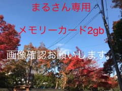 SDカード  2gbのサムネイル