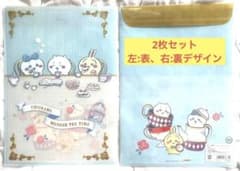 Chiikawa Clear File - Teatime A (Set of 2)