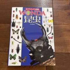 ポプラディア大図鑑WONDA 1 昆虫のサムネイル