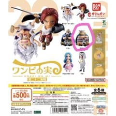 ワンピース ワンピ実　ブロギーのサムネイル