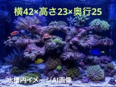 人工ライブロック BG44 擬岩/60cm水槽〜/海水魚/サンゴ水槽 - メルカリ