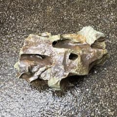 水槽用天然石のサムネイル