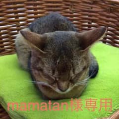 mamatan様専用のサムネイル