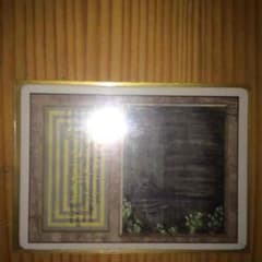 MTG bayouのサムネイル
