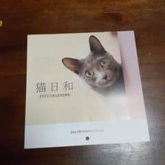 ソニー生命カレンダー　猫　2023のサムネイル